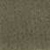 Caqui
