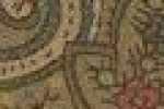 Bege Paisley