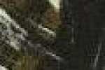 Folha Abstrata-preto