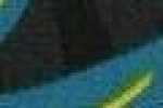 Preto Tropical