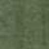 Verde Musgo Verde Musgo