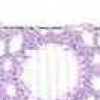 Lavanda X Off-white Lavanda X Off-white