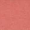 Coral Coral