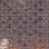 Dragonfly-Kyo Roxo Dragonfly-Kyo Roxo