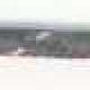Bosque Refletivo