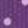 Roxo Roxo