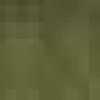 Verde Musgo
