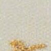 Dourado