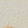 Dourado