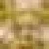 Dourado