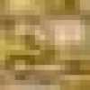 Dourado