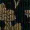 Preto X Marrom Preto X Marrom
