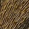 Dourado/Preto