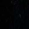 Preto Preto