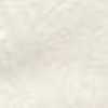 Bege Branco