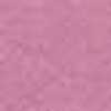 Rosa Rosa