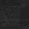 Preto Preto