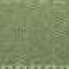 Verde Musgo