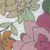 Branco Sujo × Rosa Branco Sujo × Rosa