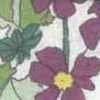 Branco Sujo × Rosa Branco Sujo × Rosa