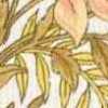 Branco X Amarelo Branco X Amarelo