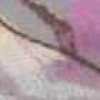 Roxo Roxo