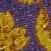 Roxo×Amarelo