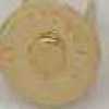 Dourado