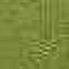 Verde Olmo