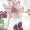 Branco Sujo × Rosa Branco Sujo × Rosa