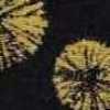 Preto X Amarelo Preto X Amarelo