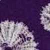 Roxo Roxo