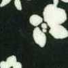 Preto Preto