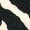 Preto Preto