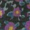 Roxo Roxo