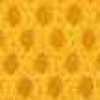 Amarelo Amarelo