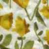 Branco-sujo × Amarelo Branco-sujo × Amarelo