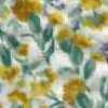 Branco-sujo × Amarelo Branco-sujo × Amarelo