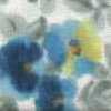 Branco-sujo × Azul Branco-sujo × Azul