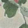 Bege Bege