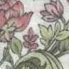 Branco Sujo × Rosa Branco Sujo × Rosa