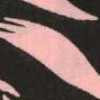 Grafite/Rosa