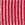 Rosa Coral