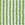 Verde Menta