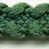 Chá Verde