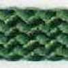 Chá Verde Chá Verde