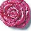 Rosa Choque