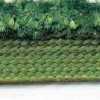 Chá Verde