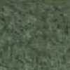 Verde Musgo Verde Musgo