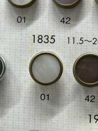 1835 Botões Elegantes E Luxuosos Para Camisas E Jaquetas Simples[Botão] DAIYA BUTTON(DAIYA BUTTON) subfoto